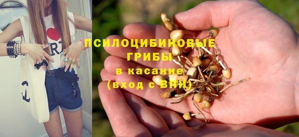 mix Армянск